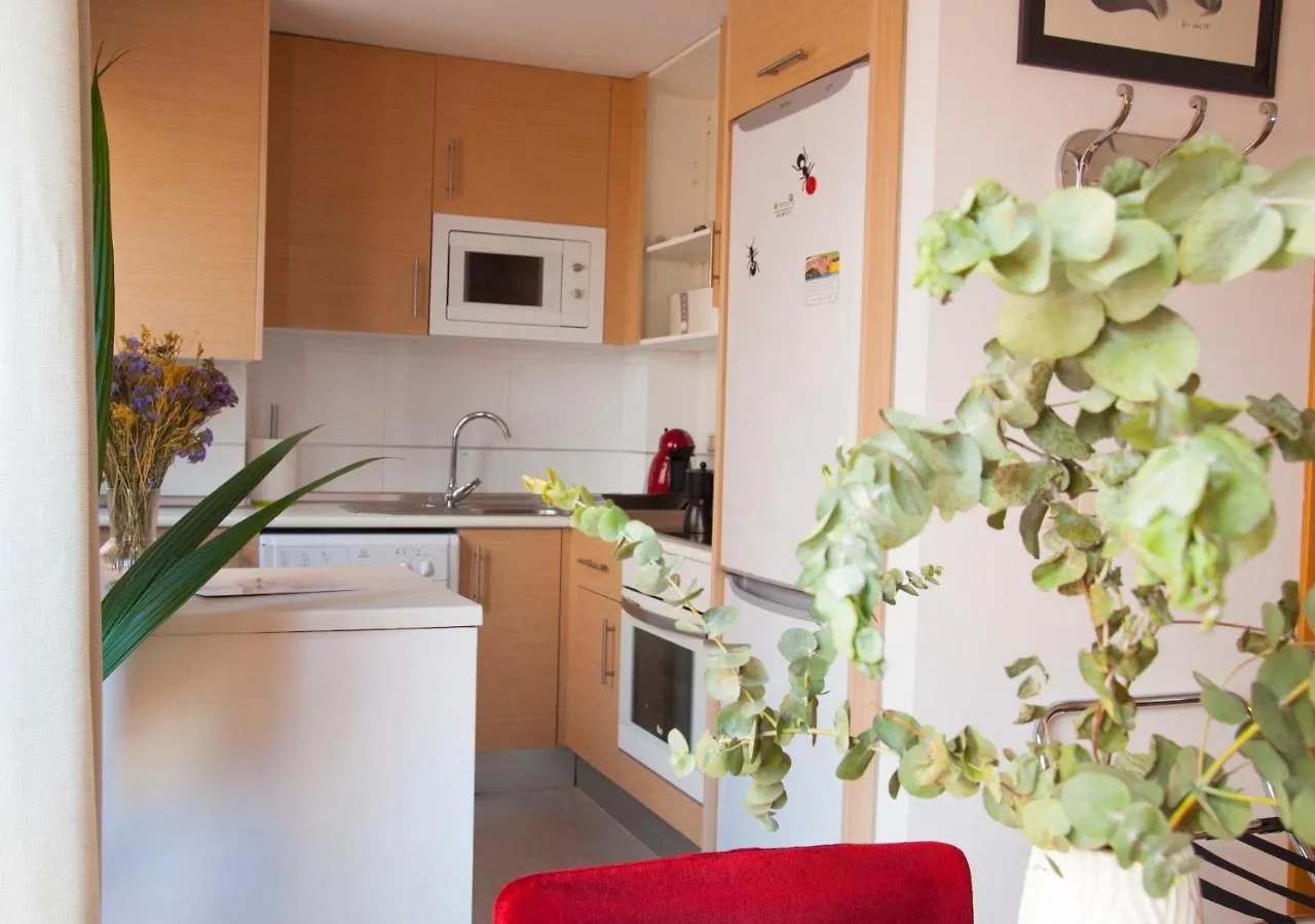 Malagaole Centro Apartment 0*, Malaga